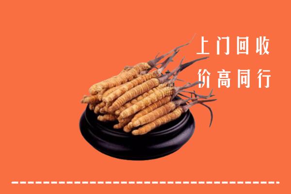 高价求购：萍乡回收散虫草