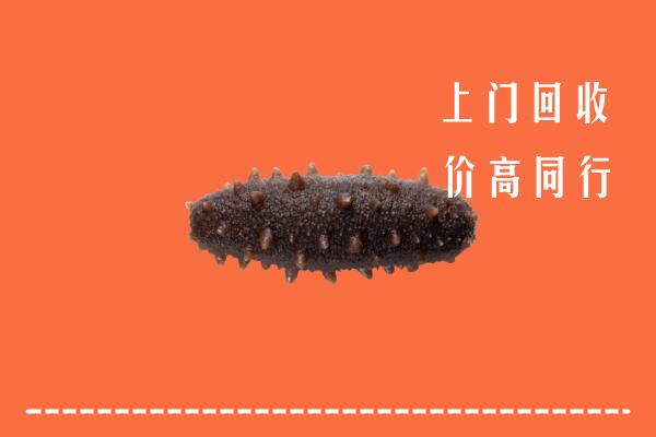 高价求购：萍乡回收海参